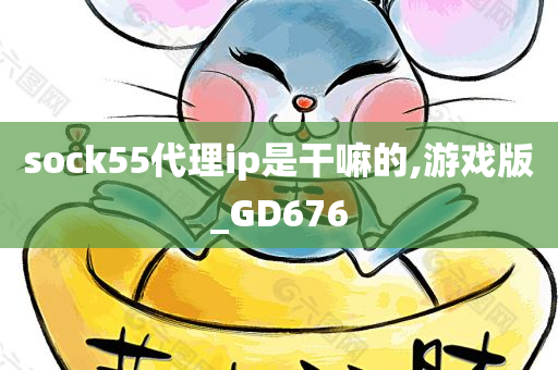 sock55代理ip是干嘛的,游戏版_GD676