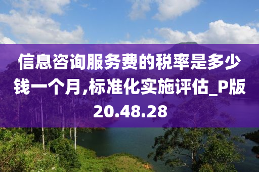 信息咨询服务费的税率是多少钱一个月,标准化实施评估_P版20.48.28