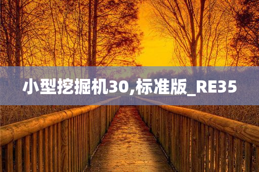 小型挖掘机30,标准版_RE35