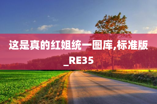 这是真的红姐统一图库,标准版_RE35