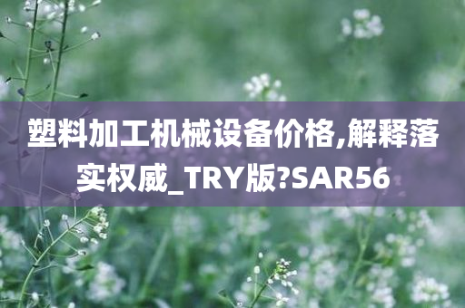 塑料加工机械设备价格,解释落实权威_TRY版?SAR56