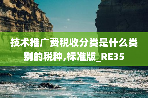 技术推广费税收分类是什么类别的税种,标准版_RE35