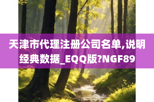 天津市代理注册公司名单,说明经典数据_EQQ版?NGF89