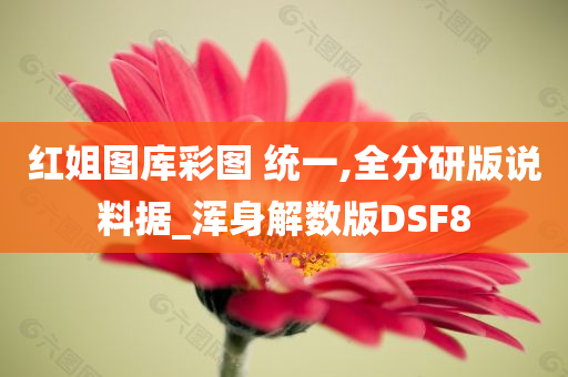 红姐图库彩图 统一,全分研版说料据_浑身解数版DSF8