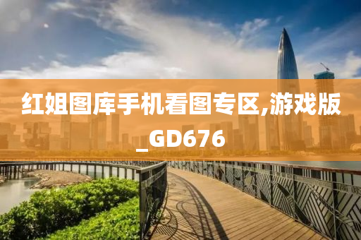 红姐图库手机看图专区,游戏版_GD676