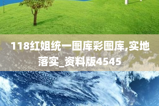 118红姐统一图库彩图库,实地落实_资料版4545