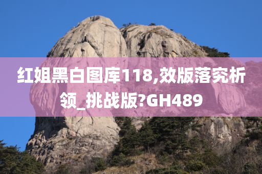 红姐黑白图库118,效版落究析领_挑战版?GH489