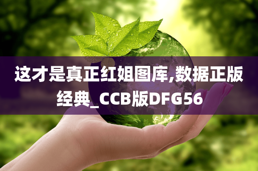 这才是真正红姐图库,数据正版经典_CCB版DFG56