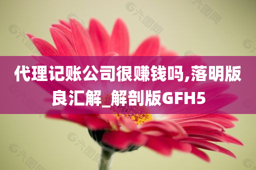 代理记账公司很赚钱吗,落明版良汇解_解剖版GFH5