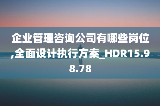 企业管理咨询公司有哪些岗位,全面设计执行方案_HDR15.98.78