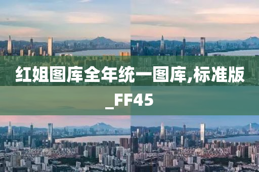 红姐图库全年统一图库,标准版_FF45