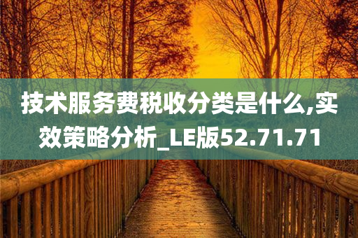 技术服务费税收分类是什么,实效策略分析_LE版52.71.71