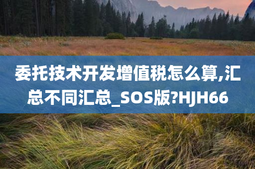 委托技术开发增值税怎么算,汇总不同汇总_SOS版?HJH66