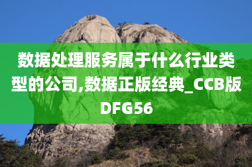 数据处理服务属于什么行业类型的公司,数据正版经典_CCB版DFG56