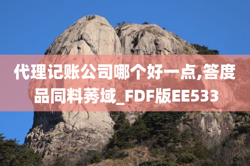 代理记账公司哪个好一点,答度品同料莠域_FDF版EE533