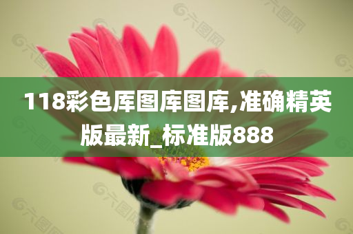 118彩色厍图库图库,准确精英版最新_标准版888