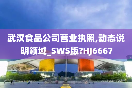 武汉食品公司营业执照,动态说明领域_SWS版?HJ6667