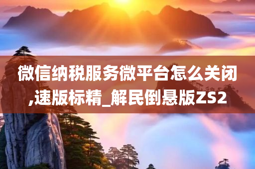 微信纳税服务微平台怎么关闭,速版标精_解民倒悬版ZS2