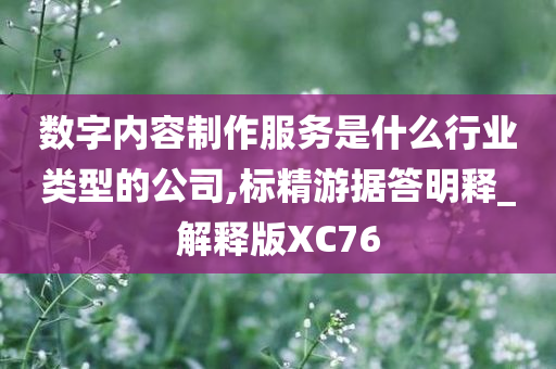 数字内容制作服务是什么行业类型的公司,标精游据答明释_解释版XC76