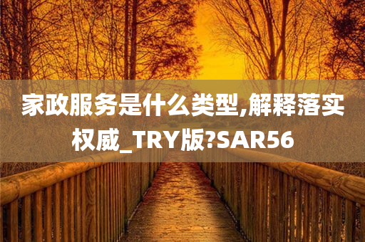 家政服务是什么类型,解释落实权威_TRY版?SAR56