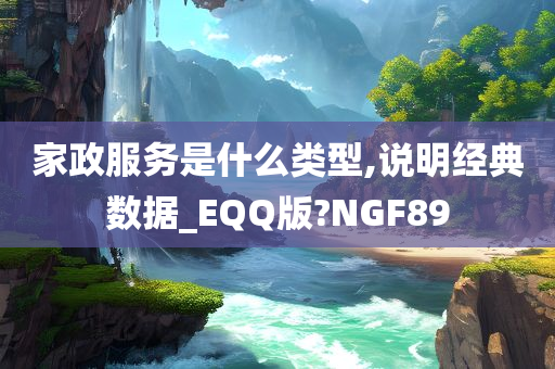 家政服务是什么类型,说明经典数据_EQQ版?NGF89