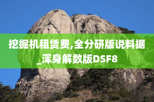 挖掘机租赁费,全分研版说料据_浑身解数版DSF8