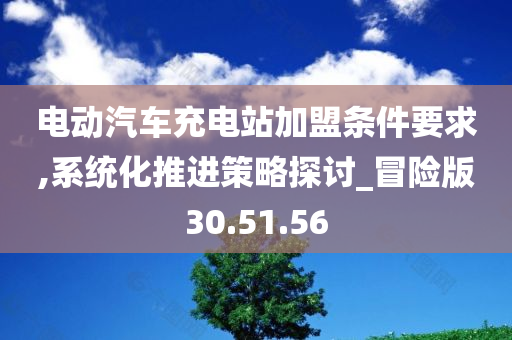 电动汽车充电站加盟条件要求,系统化推进策略探讨_冒险版30.51.56