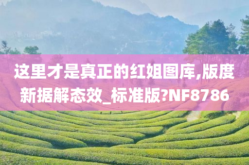 这里才是真正的红姐图库,版度新据解态效_标准版?NF8786