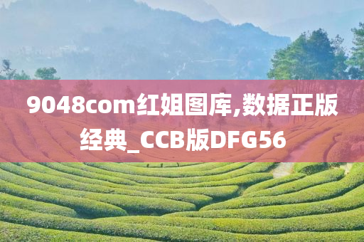 9048com红姐图库,数据正版经典_CCB版DFG56