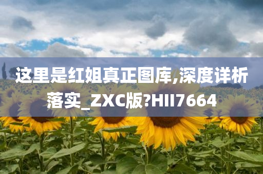 红姐图库 第34页