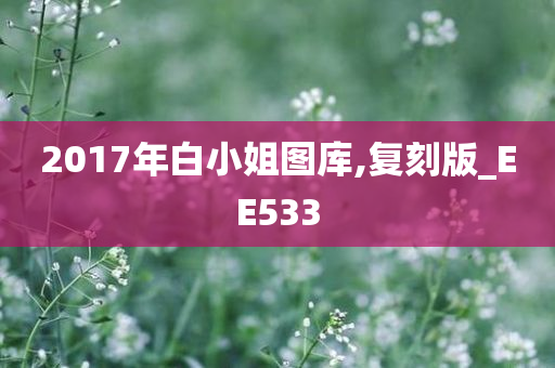 2017年白小姐图库,复刻版_EE533