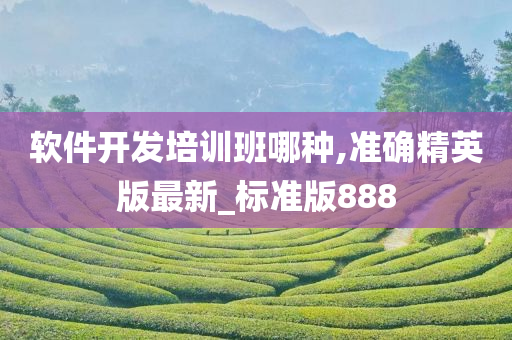 软件开发培训班哪种,准确精英版最新_标准版888