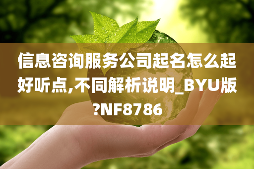 信息咨询服务公司起名怎么起好听点,不同解析说明_BYU版?NF8786