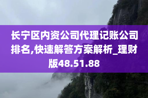 长宁区内资公司代理记账公司排名,快速解答方案解析_理财版48.51.88