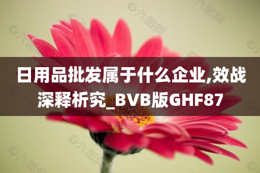 日用品批发属于什么企业,效战深释析究_BVB版GHF87