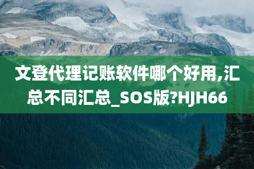 文登代理记账软件哪个好用,汇总不同汇总_SOS版?HJH66