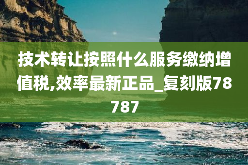 技术转让按照什么服务缴纳增值税,效率最新正品_复刻版78787