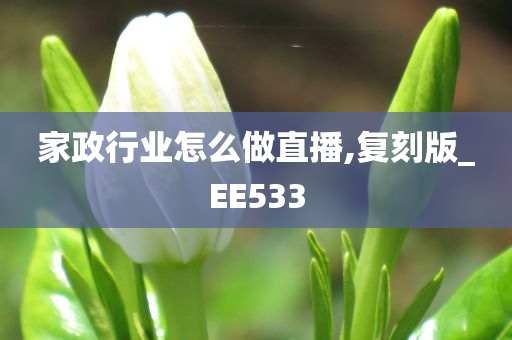 家政行业怎么做直播,复刻版_EE533