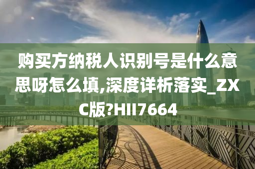 购买方纳税人识别号是什么意思呀怎么填,深度详析落实_ZXC版?HII7664