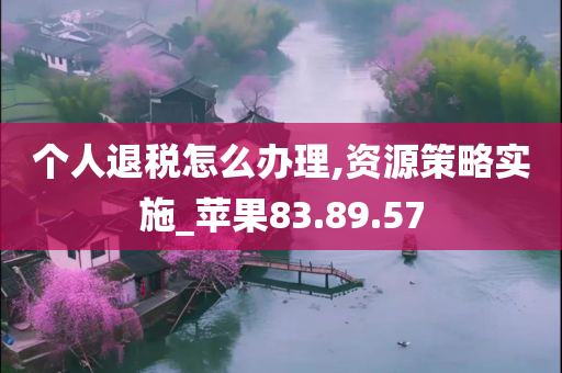 个人退税怎么办理,资源策略实施_苹果83.89.57