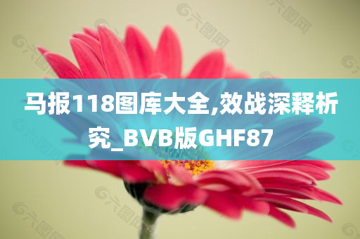 马报118图库大全,效战深释析究_BVB版GHF87