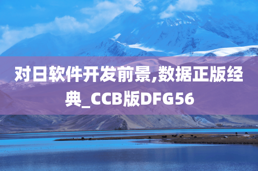 对日软件开发前景,数据正版经典_CCB版DFG56