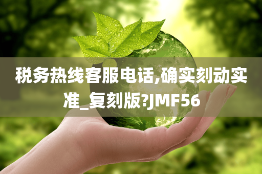 税务热线客服电话,确实刻动实准_复刻版?JMF56