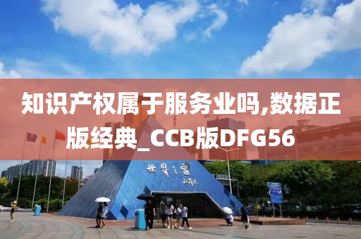 知识产权属于服务业吗,数据正版经典_CCB版DFG56