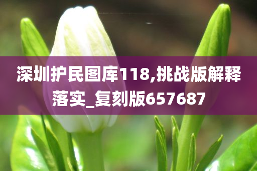 深圳护民图库118,挑战版解释落实_复刻版657687