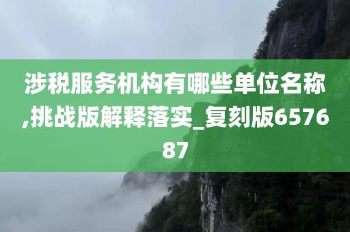 涉税服务机构有哪些单位名称,挑战版解释落实_复刻版657687