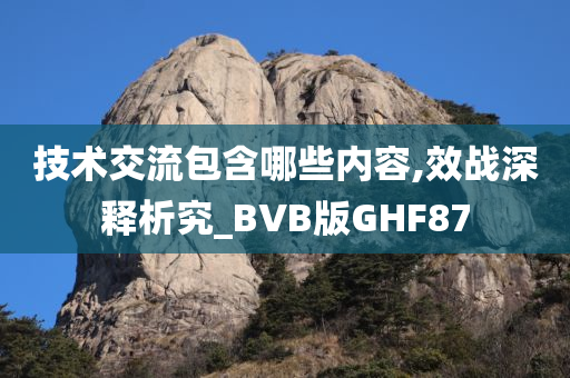 技术交流包含哪些内容,效战深释析究_BVB版GHF87