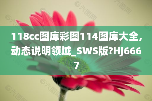 118cc图库彩图114图库大全,动态说明领域_SWS版?HJ6667