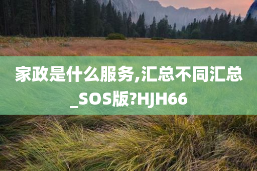 家政是什么服务,汇总不同汇总_SOS版?HJH66