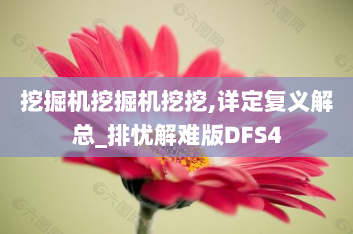 挖掘机挖掘机挖挖,详定复义解总_排忧解难版DFS4